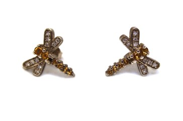 dragonfly1-img_2625rs