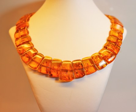 amber-collar-1img_2860