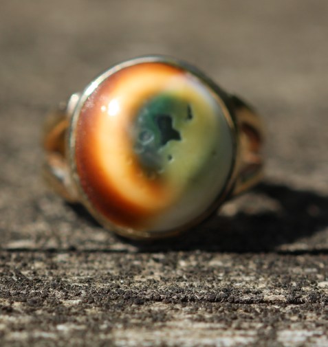 opercula-ringimg_2875