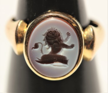 lion-taglio-ringimg_2939