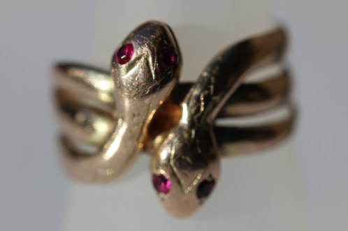 snake synthetic eyesIMG_3297