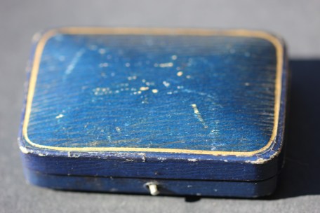 sapphire beetle 6IMG_3367