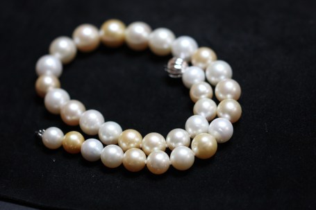 south sea pearlsIMG_3581