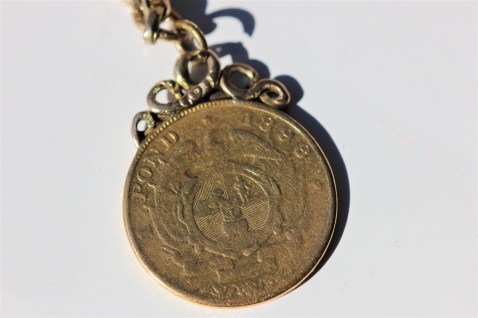 charm coinIMG_4423