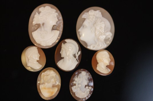 cameos shellIMG_6491