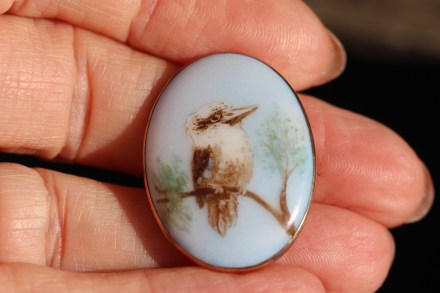 Kookaburra 3IMG_6028