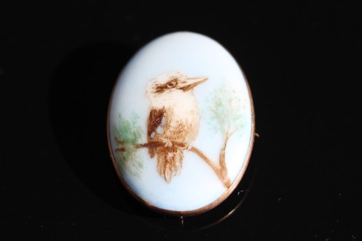 kookaburra 1IMG_6021